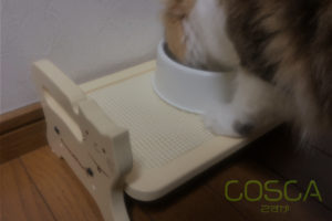 買ってよかったキャットテーブル!【キャティーマン ウッディーダイニング キャットレビュー】