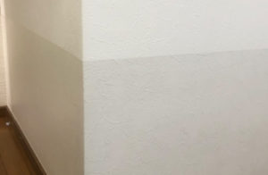 クロスの上に貼れる!猫の爪とぎ防止シートのレビューと貼り方