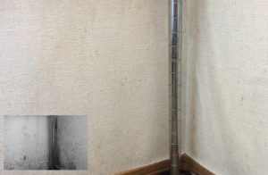 賃貸マンション・アパートのクロスに生えた黒カビを落とす方法。