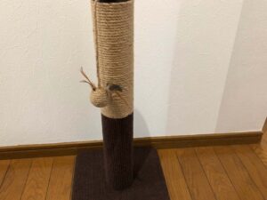 キャティーマン爪みがきポールレビュー