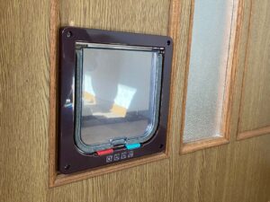 キャットドアをDIYで設置！取付方法と設置後のレビュー